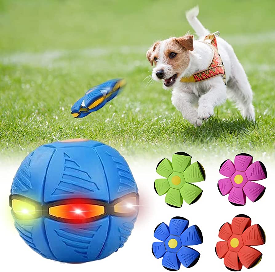 Alfis Pet Luxury™ Dog Frisbee