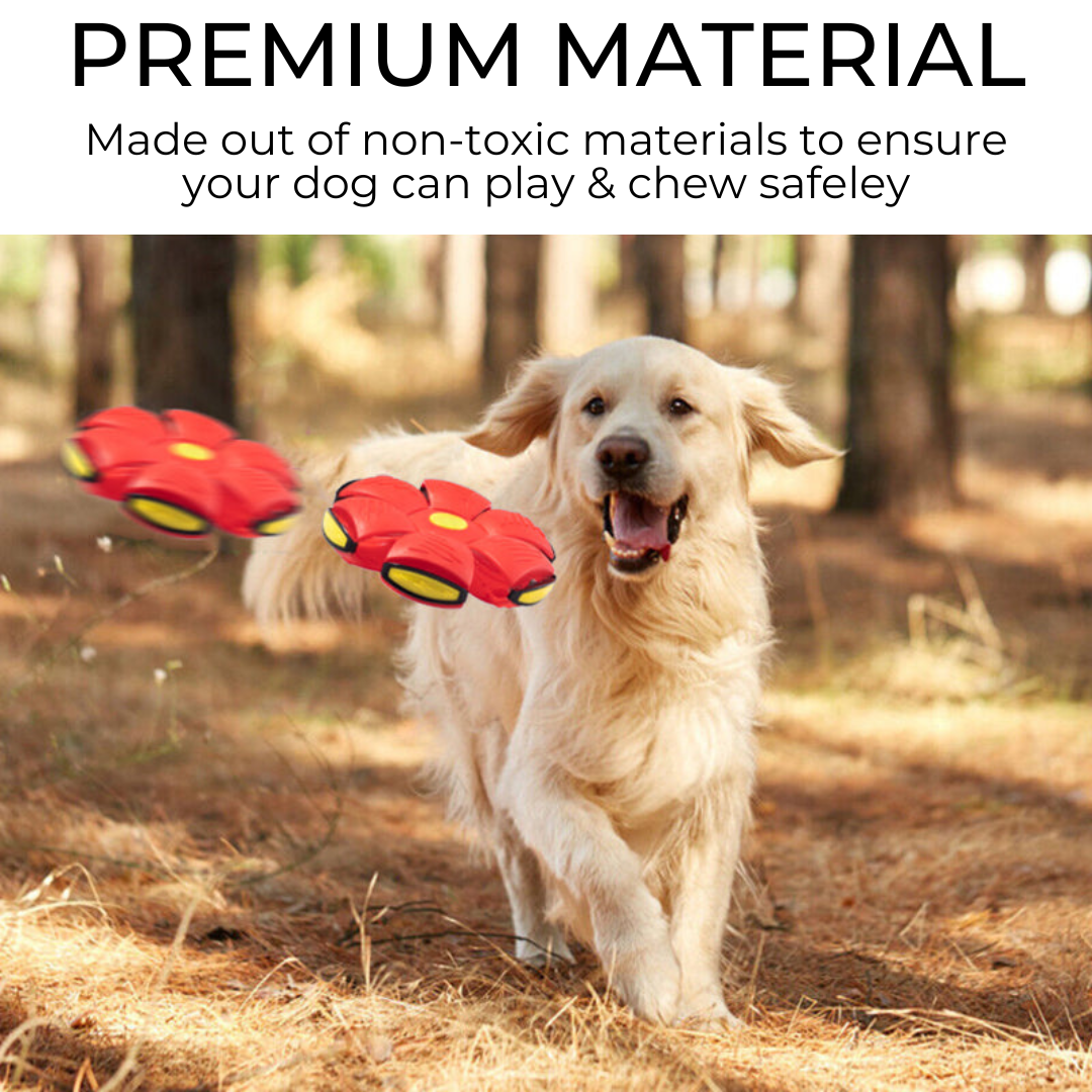 Alfis Pet Luxury™ Dog Frisbee